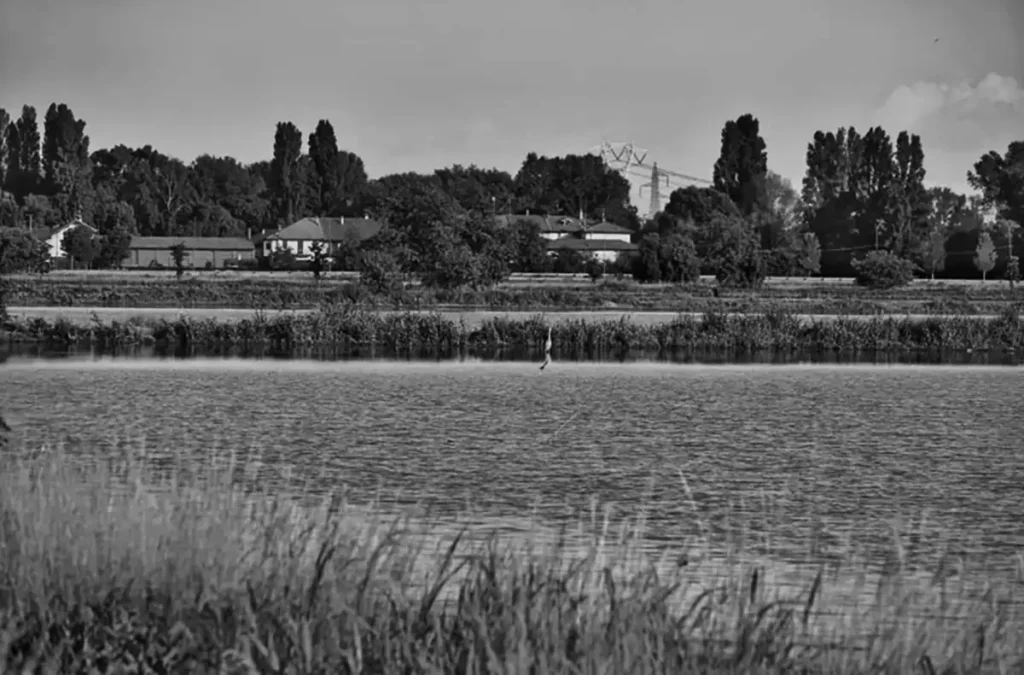 Muggiano non è una periferia qualunque: cosa dicono davvero le regole urbanistiche