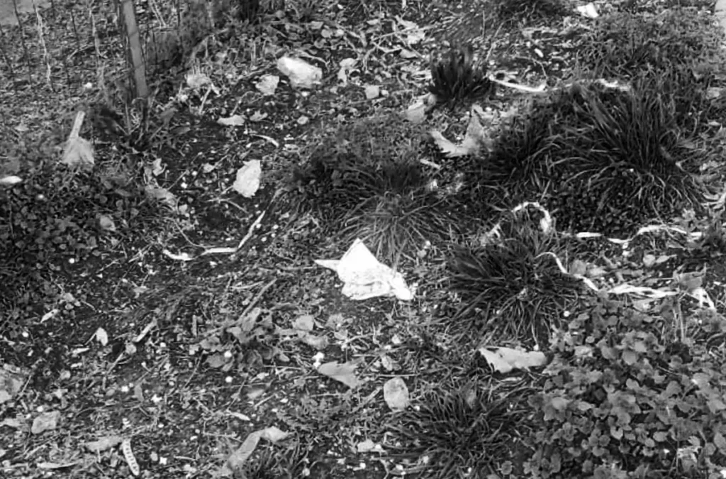 Area verde di Muggiano abbandonata e piena di rifiuti tra la vegetazione, Milano