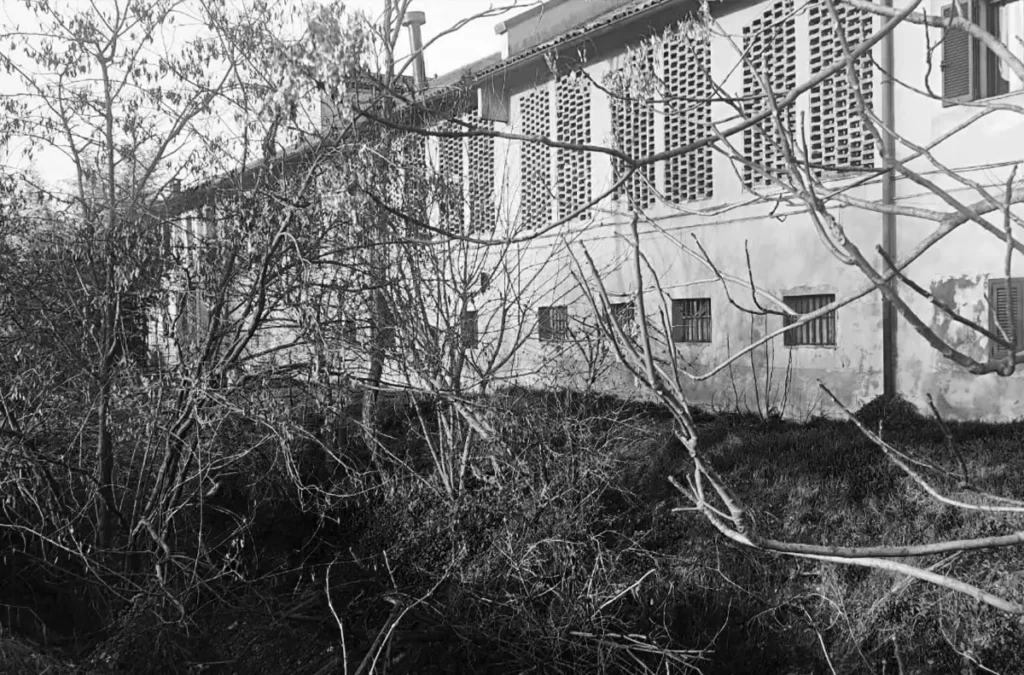 Edificio fatiscente con intonaco scrostato e vegetazione selvatica incolta in primo piano, quartiere Muggiano, Milano