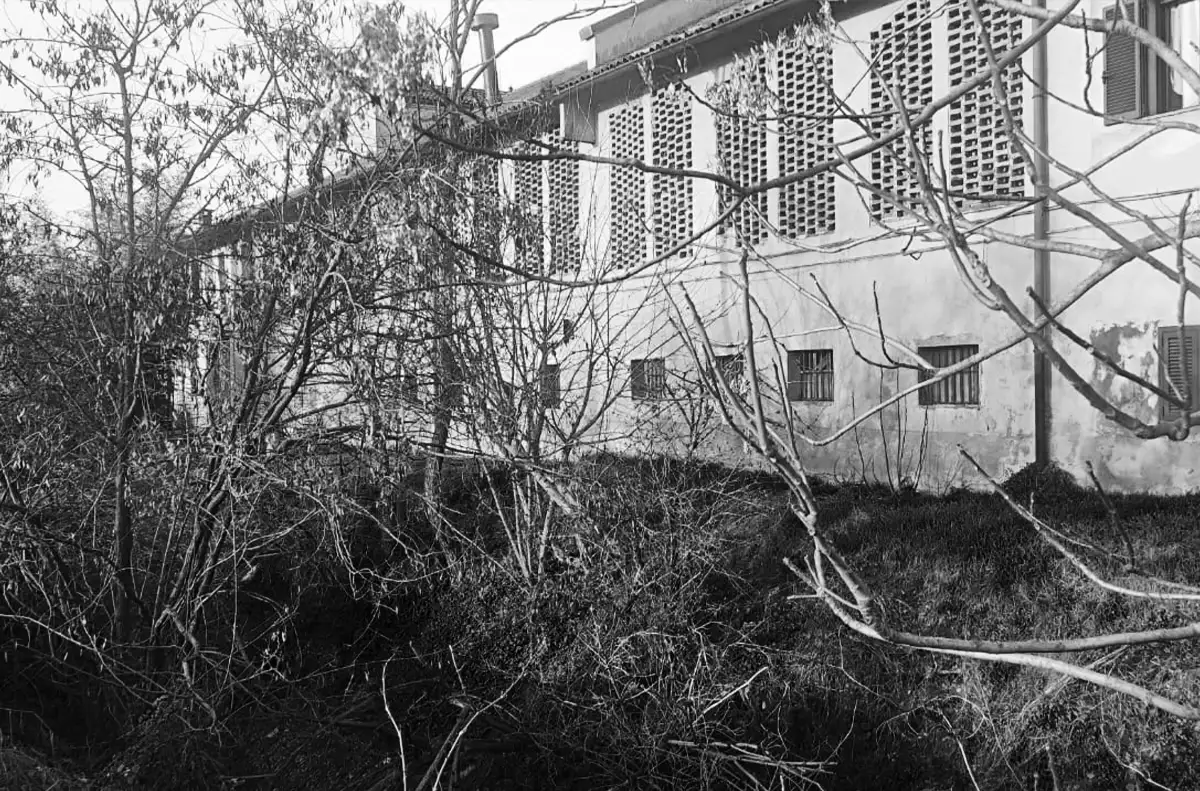 Edificio fatiscente con intonaco scrostato e vegetazione selvatica incolta in primo piano, quartiere Muggiano, Milano