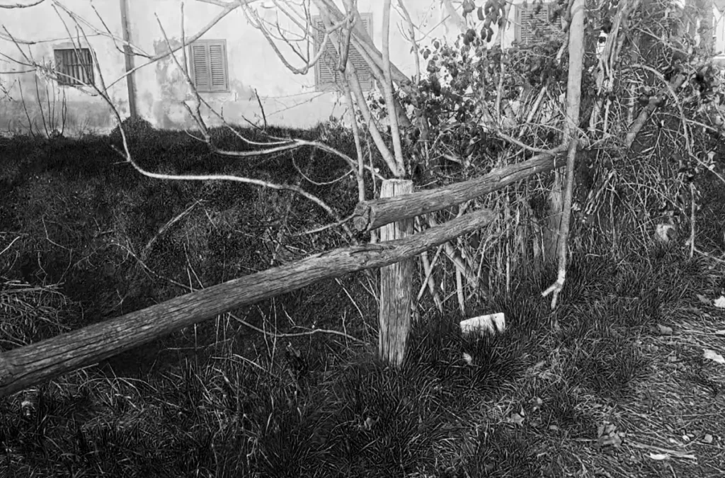 Staccionata in legno marcio e cadente tra sterpaglie e alberi spogli davanti a un edificio abbandonato, quartiere Muggiano, Milano