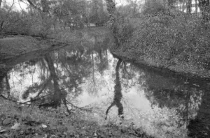 Fontanili e vincoli: tutela reale o alibi per non decidere