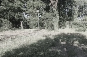 Il silenzio sul Parco della Cava di Muggiano