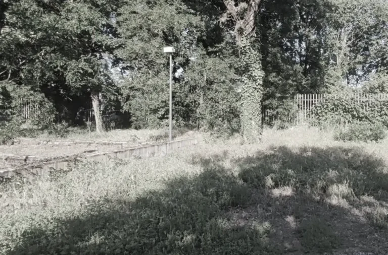 Il silenzio sul Parco della Cava di Muggiano