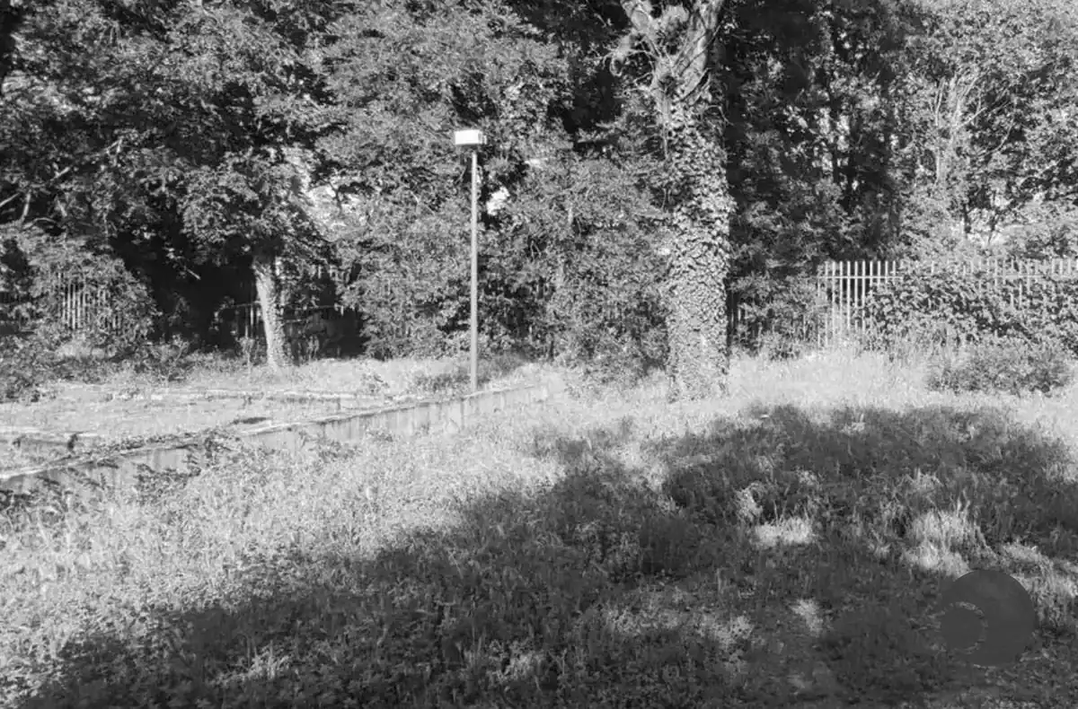 Il silenzio sul Parco della Cava di Muggiano