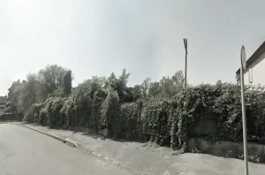 Residential street with a tall hedge and climbing vines along a fence, sidewalk on the left, and a satellite dish on the right side of a building.