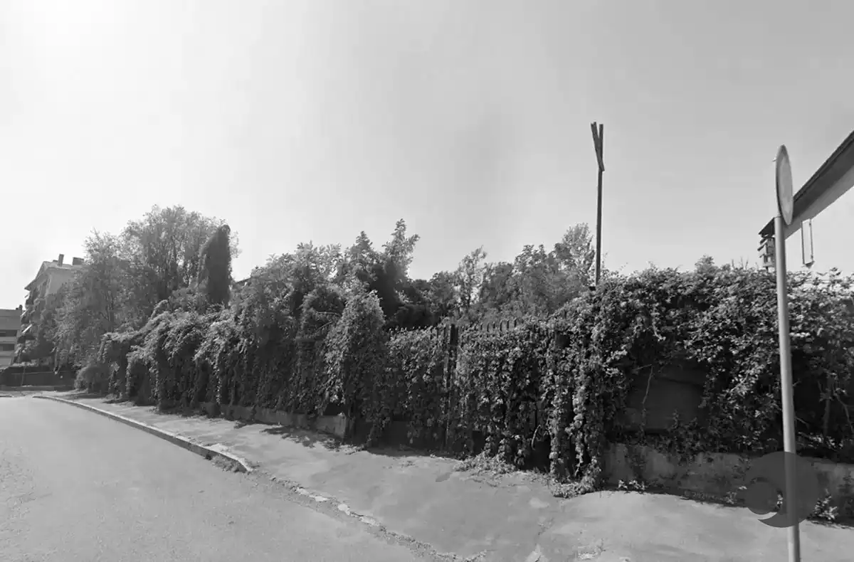 Residential street with a tall hedge and climbing vines along a fence, sidewalk on the left, and a satellite dish on the right side of a building.